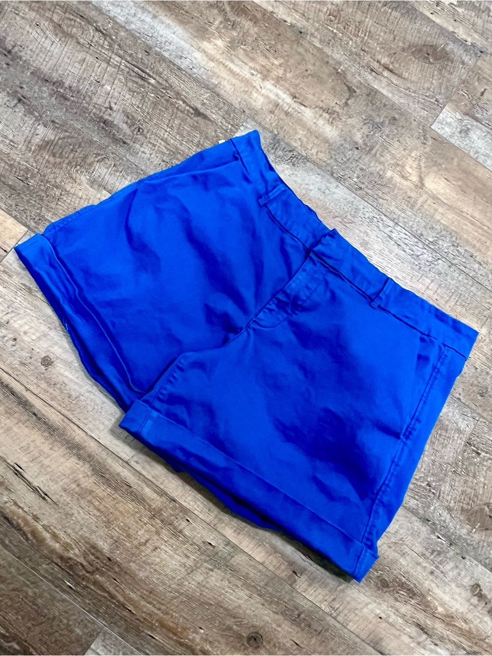 78 & Sunny Royal Blue Stretch Chino Shorts | Cuffed Hem | Size 16W